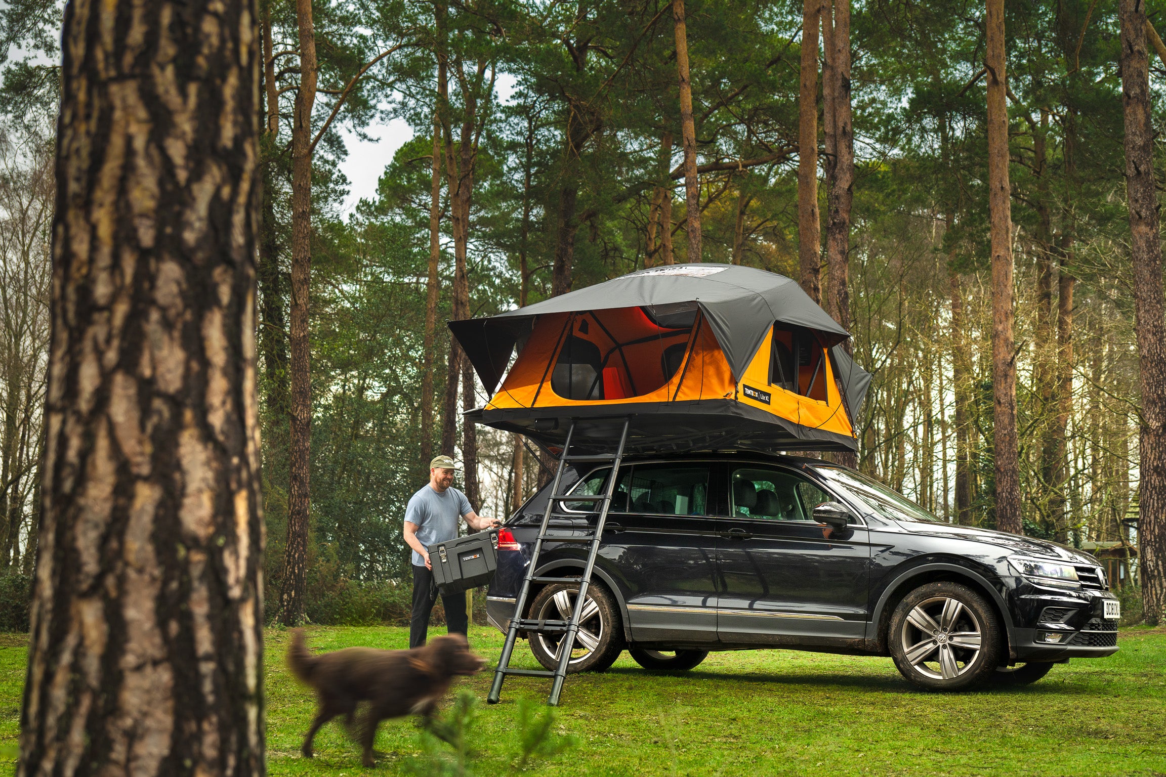 TentBox Lite XL - Stort Familie Tagtelt til 4 personer