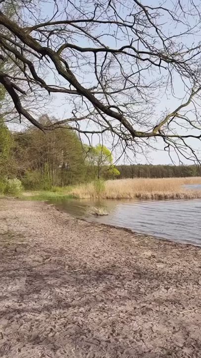 MoonBox KitchenBox - Bärbar kökslåda 